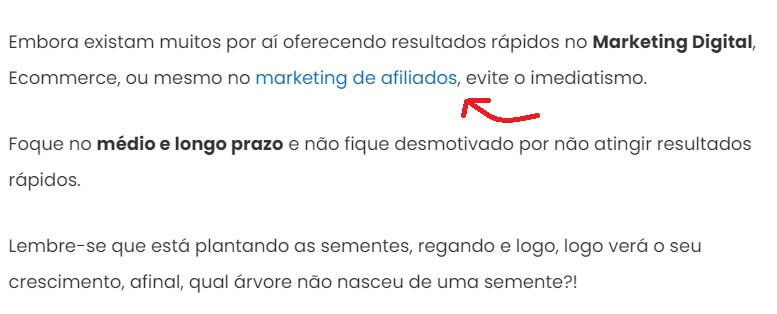 O que é SEO e como aplicar no seu negócio